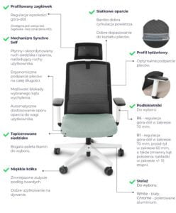 coco ws hd cechy szczegolne